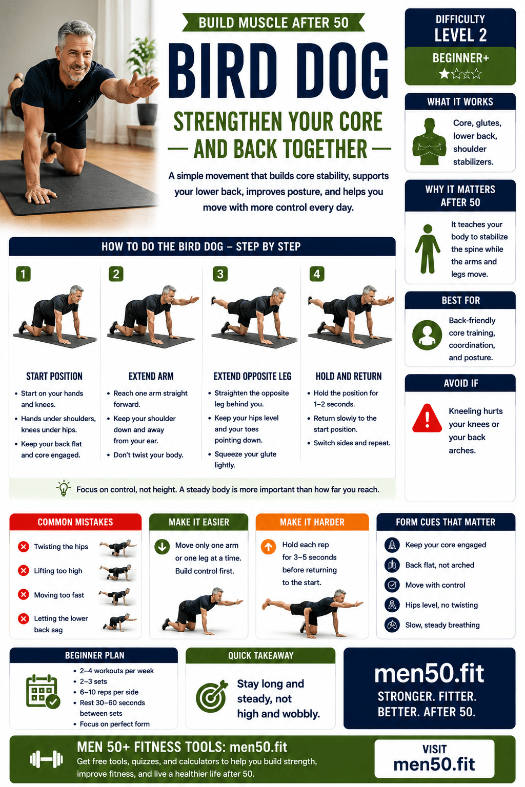 Build muscle after 50 Bird dog guide